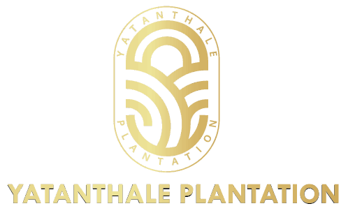 Yatanthale Plantation (Pvt. Ltd.)